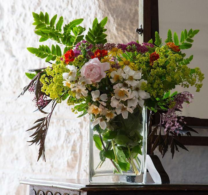 Ross Castle B&B Oldcastle Luaran gambar
