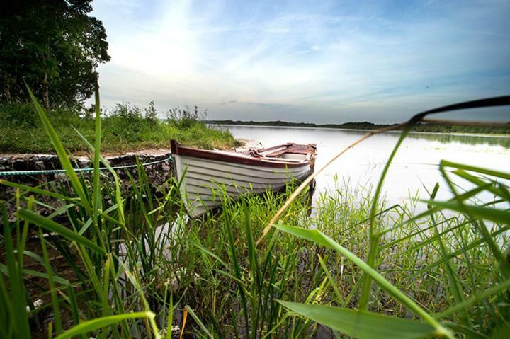Ross Castle B&B Oldcastle Luaran gambar