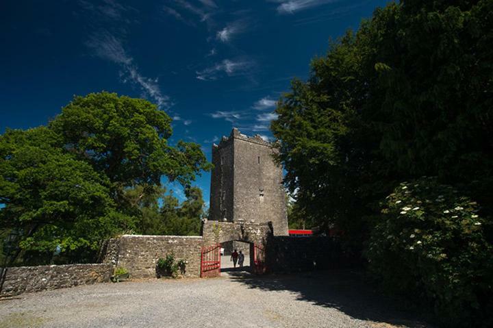 Ross Castle B&B Oldcastle Luaran gambar