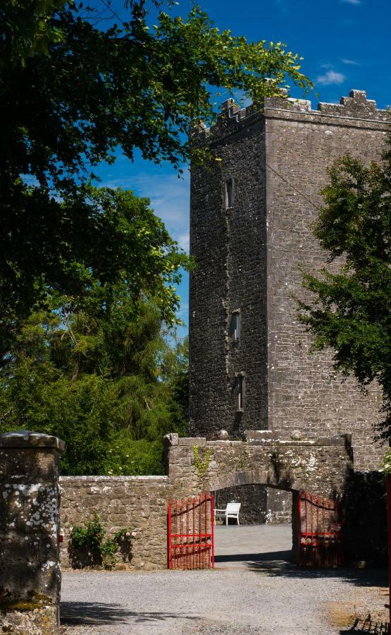 Ross Castle B&B Oldcastle Luaran gambar